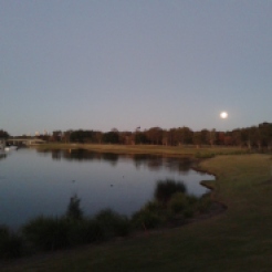 Moonrise over Lakelands Golf Club